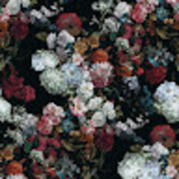 Meet your Posher, Kai - Picture 1 of 1